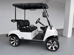 Evolution Pro Golf Ready Golf Cart Lithium 01